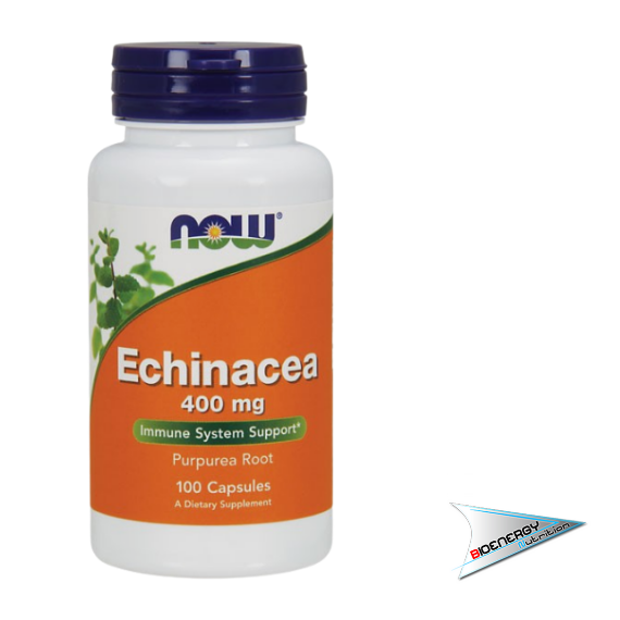 Now - ECHINACEA (Conf. 90 cps) - 